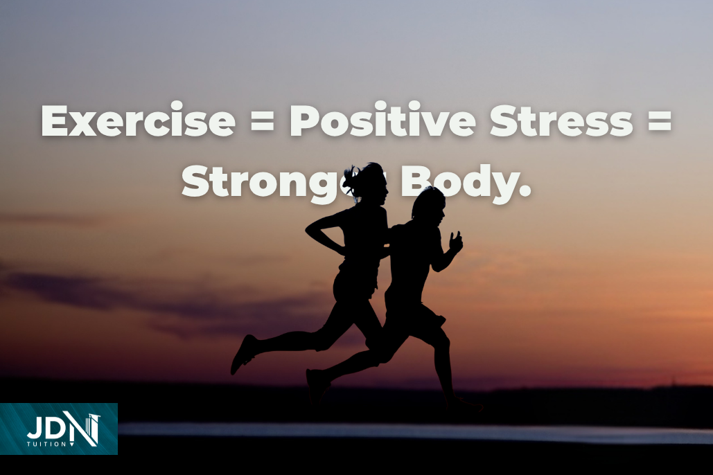 Formula of Healthy and Balanced Lifestyle